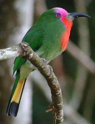 你认识吗丁啉,你认识吗