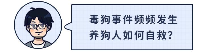 狗吃了毒香肠多久发作,狗误食毒香肠