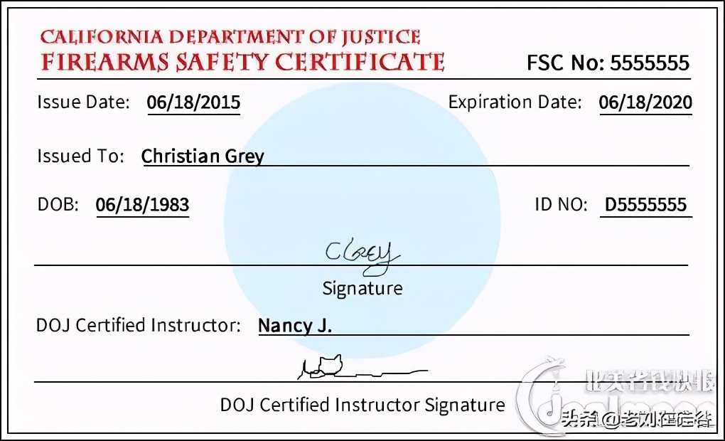 美国枪支认定标准,美国枪支安全法