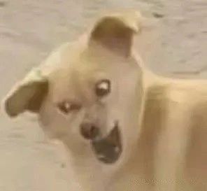 经纬辉收购诺思微,经纬辉开并购传闻