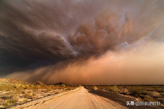 第一大沙尘源地阿拉善，骆驼养殖数量连年增长，背后有哪些隐忧？