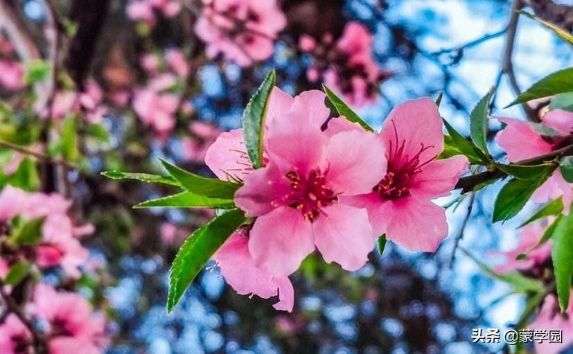 形容山水风景优美的成语诗句,100个风景优美成语