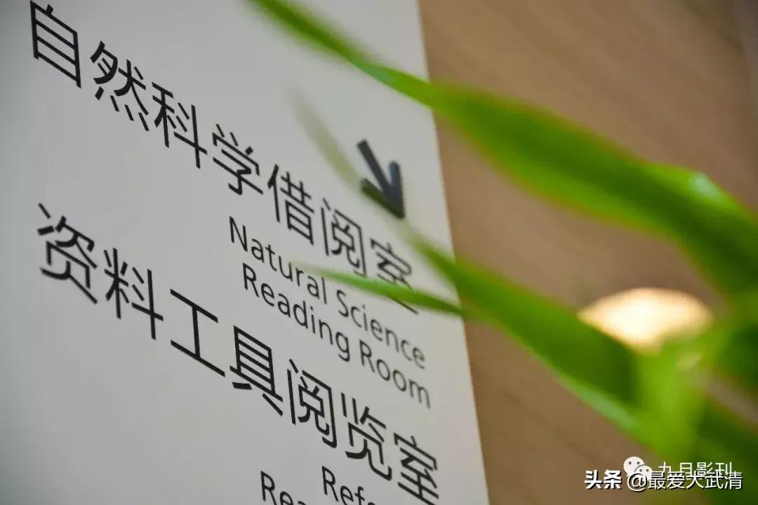 爱上武清从哪里开始,爱上冬日旅行从这里开始