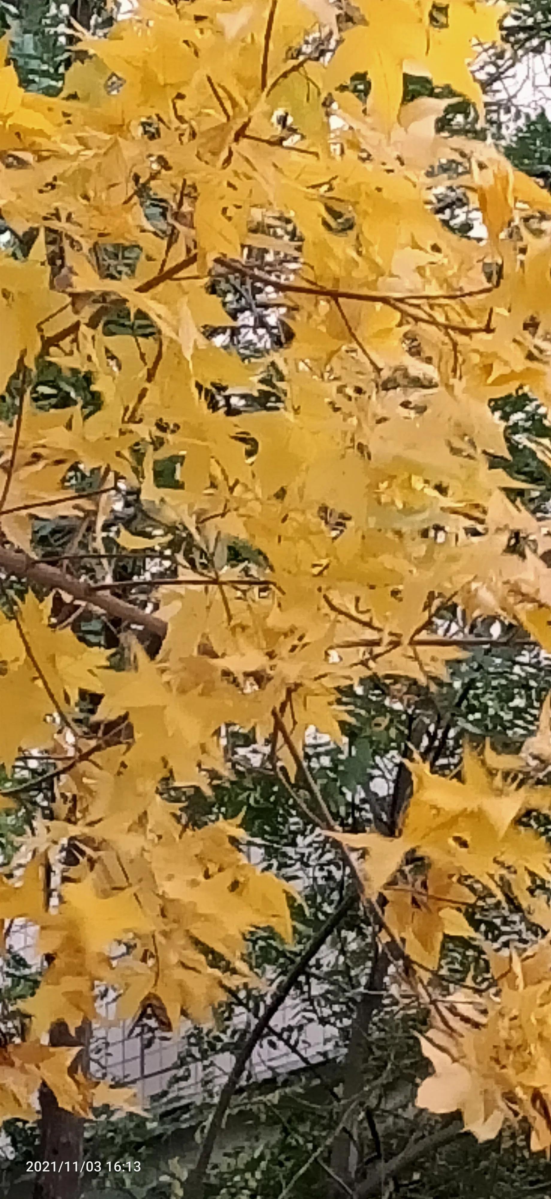 达则兼济天下穷则独善其身,达则兼济天下穷则独善其身素材