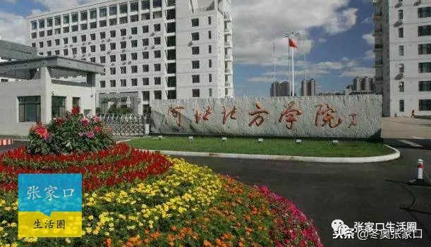 河北张家口今天的最新消息,今日张家口新消息