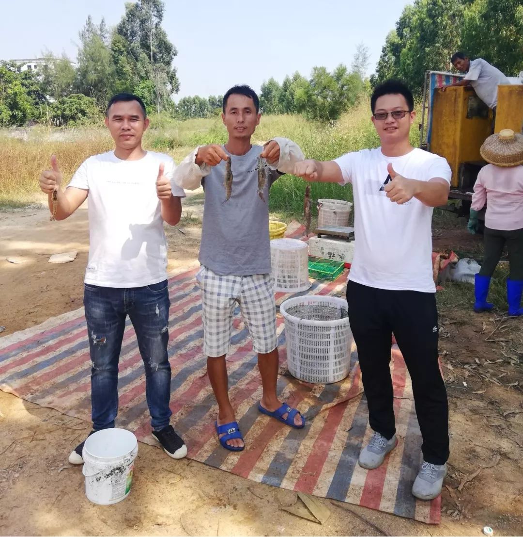 南美白对虾养虾一亩一般赚多少,小拱棚对虾养殖秘籍