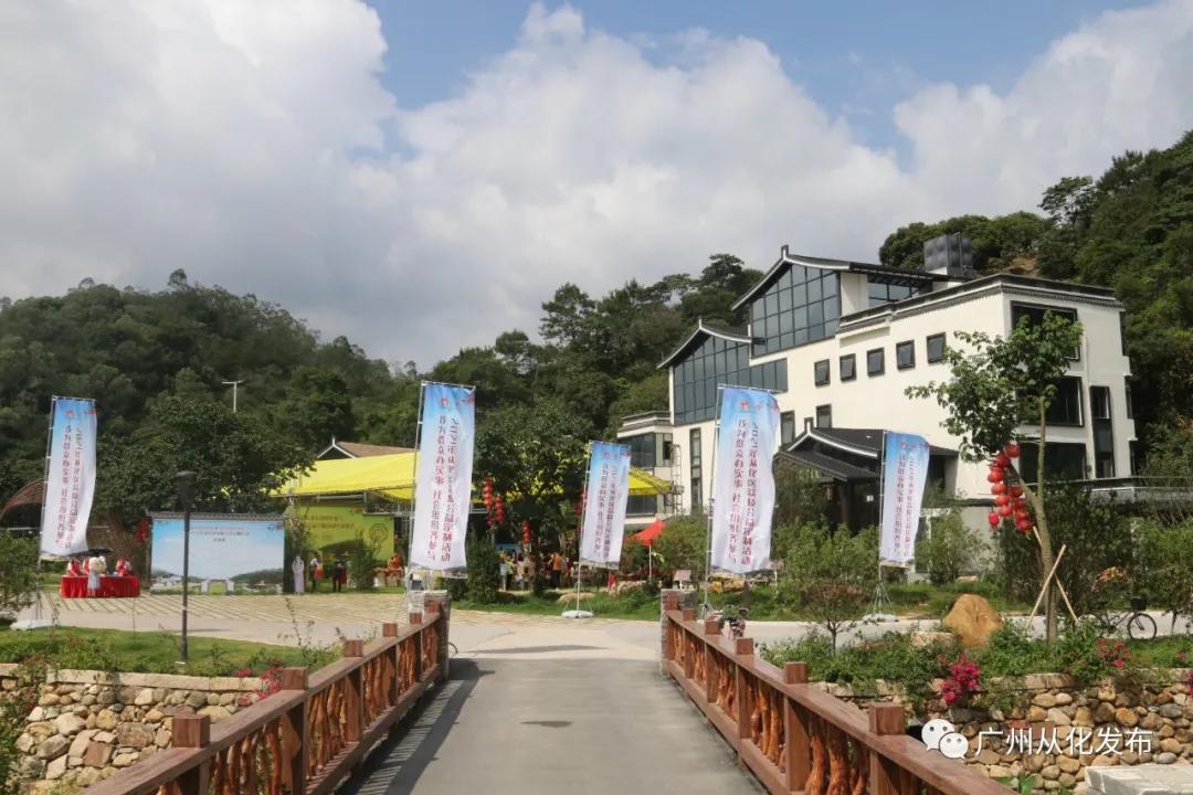 广州从化荔枝公益系列,广州从化公益荔枝