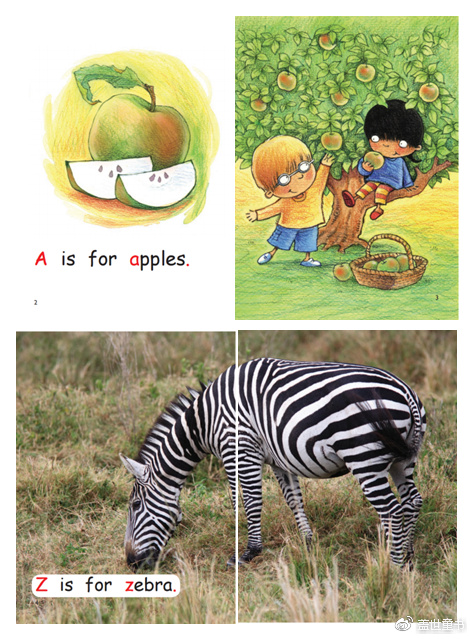 红火箭分级阅读科普,红火箭分级阅读有视频吗