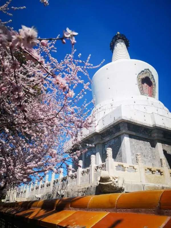 疫情海外销售,海外疫情如何利用跨境电商