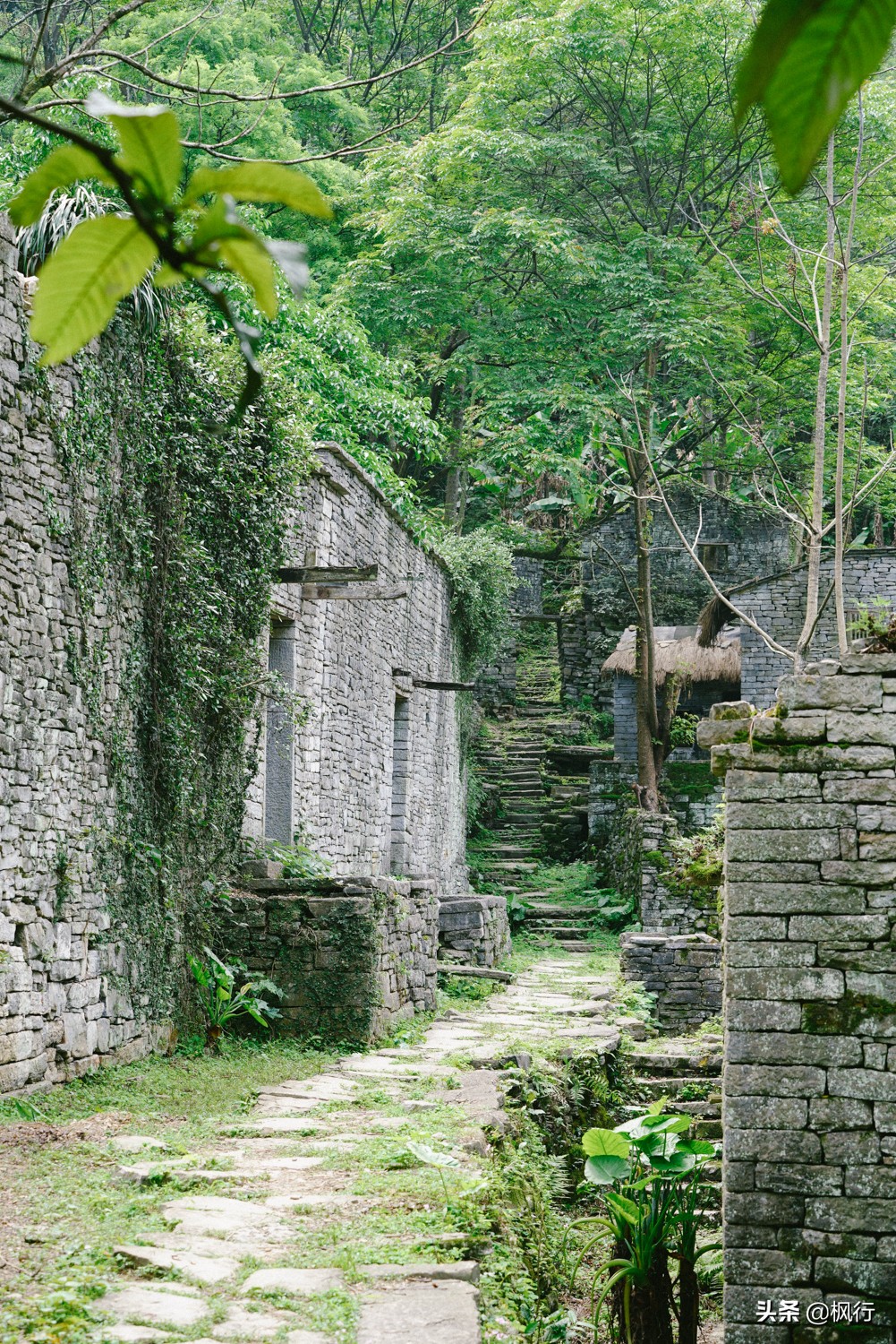 桂林阳朔旅游攻略一天半,最详细桂林阳朔旅游攻略