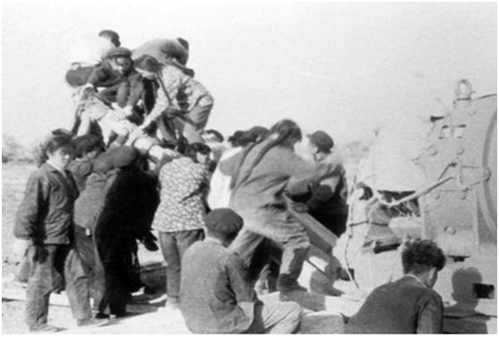 中泰化学如何破局,中泰化学的未来方向