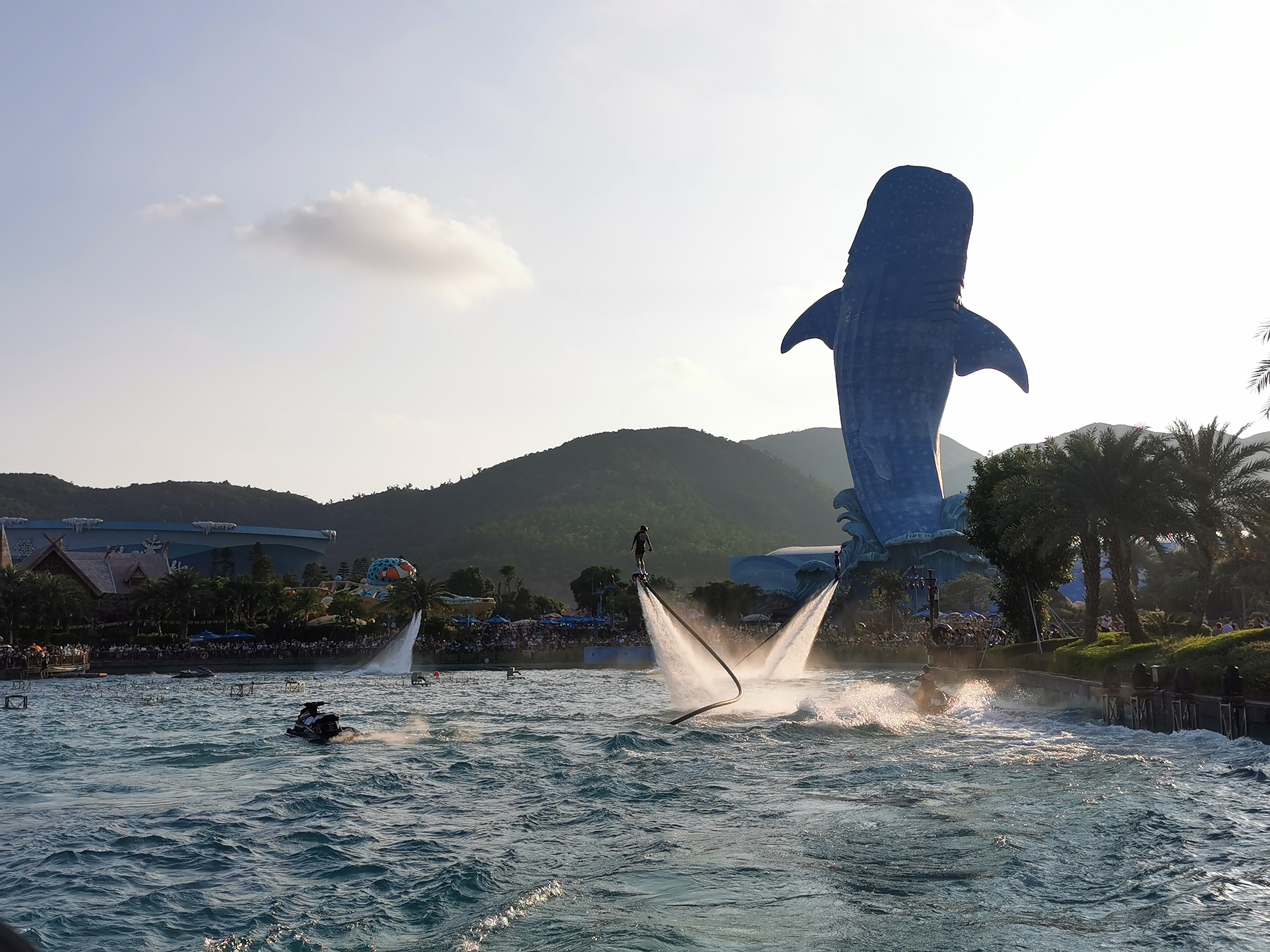 第一次去珠海长隆视频,第一次去珠海长隆怎么玩