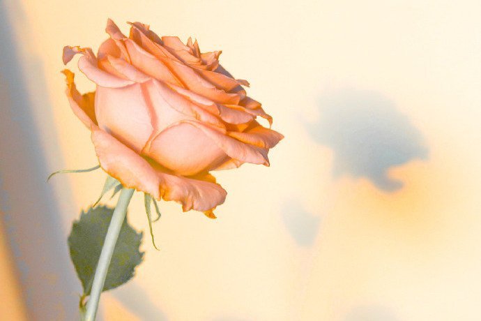 对恋爱不如何上心的星座,恋爱中容易让恋人对他失望的星座