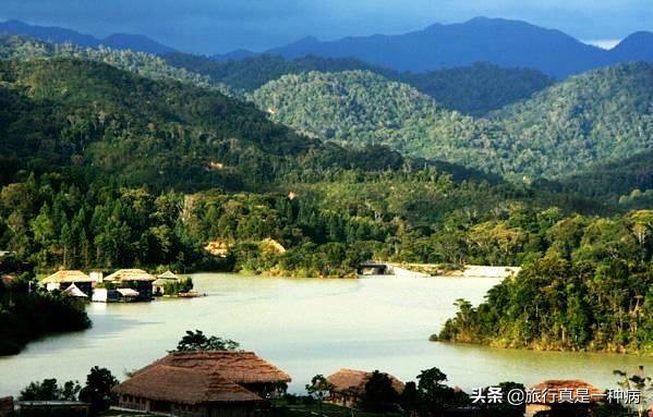 热带雨林复杂生态系统,复杂的热带雨林生态系统