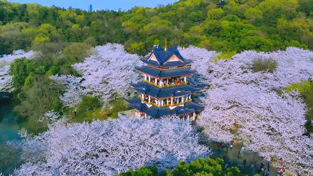 无锡top2红盘,曝光无锡楼盘