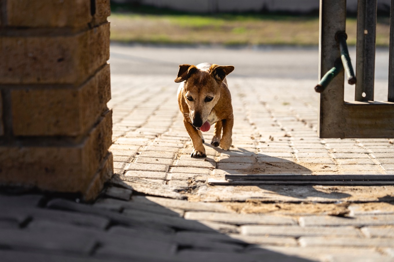 南非自驾游,南非自驾游最新