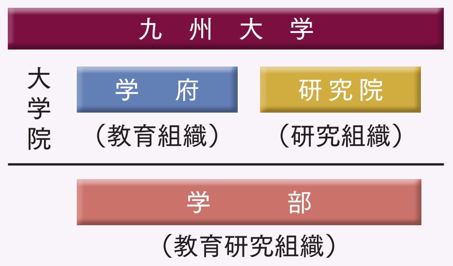日本九州大学和福冈大学,日本九州大学与西南大学