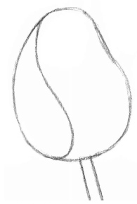 素描玫瑰花高级感的画法,素描玫瑰花画法步骤图