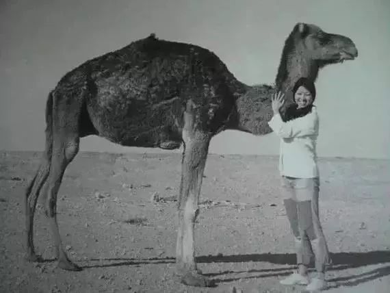 三毛：你是我们幻想的那片诗与远方，开在荒漠里的繁花，生日快乐