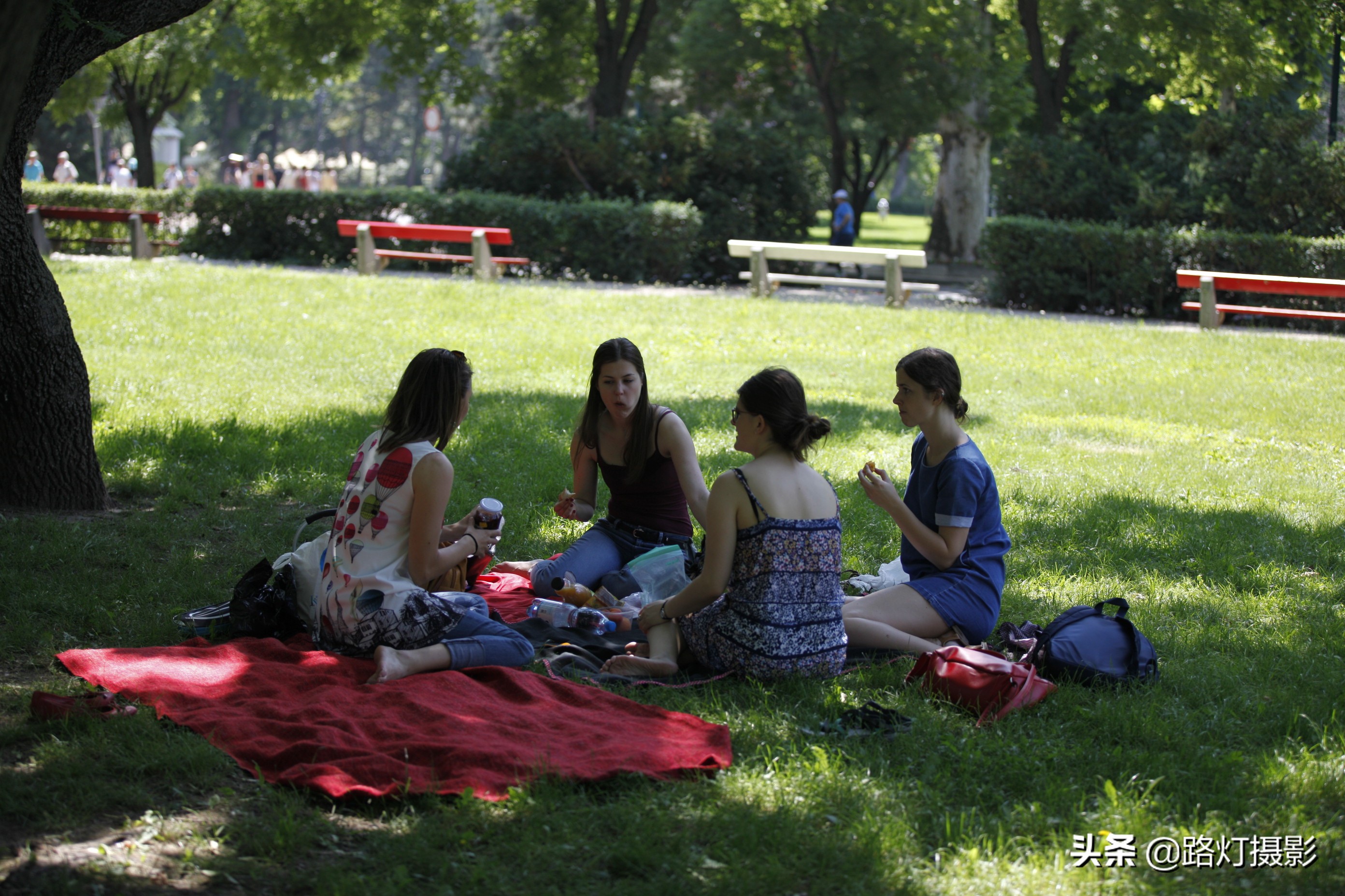 国外有没有禁止踩踏草坪,为什么国外草坪可以随便踩