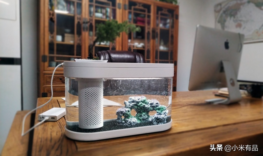 小米两栖生态鱼缸图片,小米生态小鱼缸