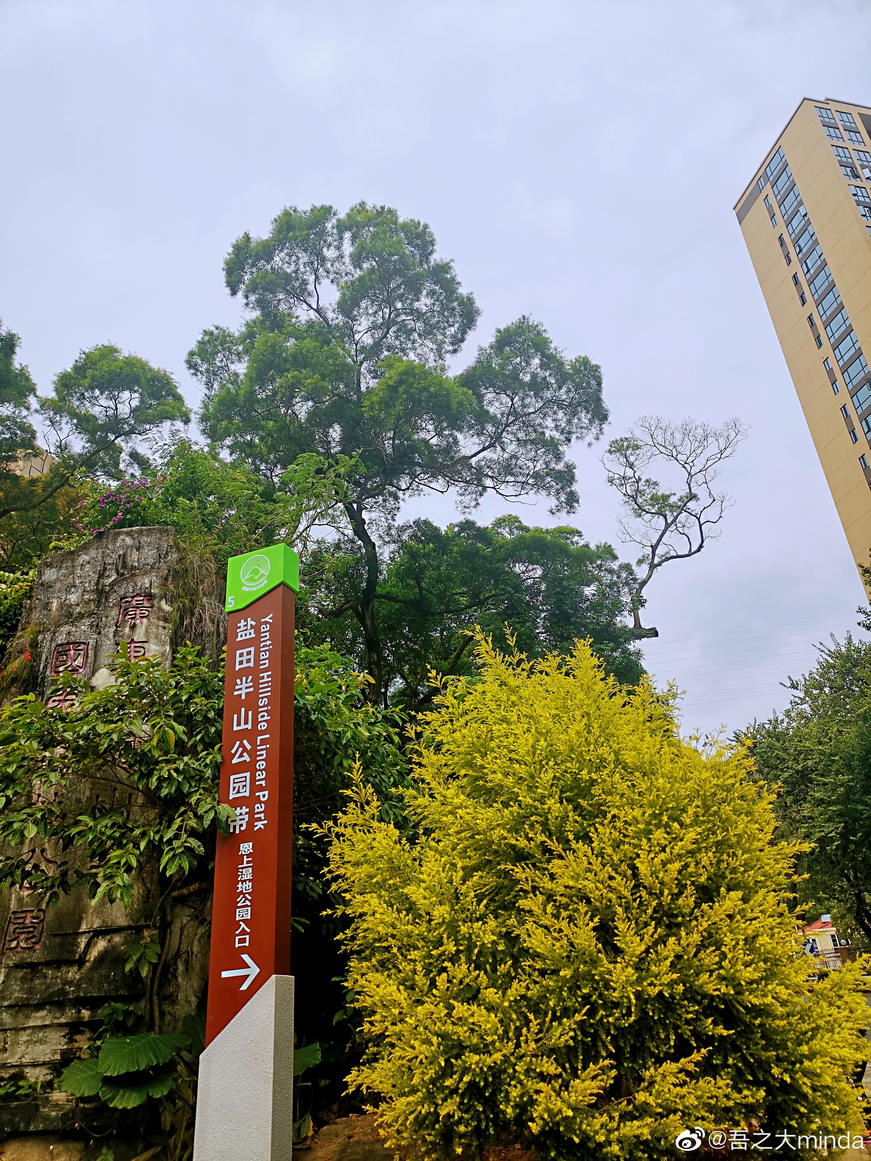 梧桐山下幽径,梧桐山下清风明月