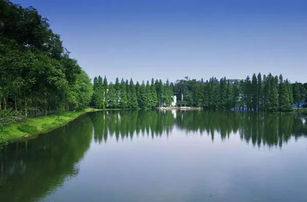 广州适合情侣旅游的景区推荐,广州情侣必去的旅游胜地