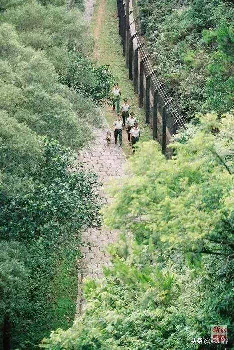 深圳特区40年,特区40年后的发展