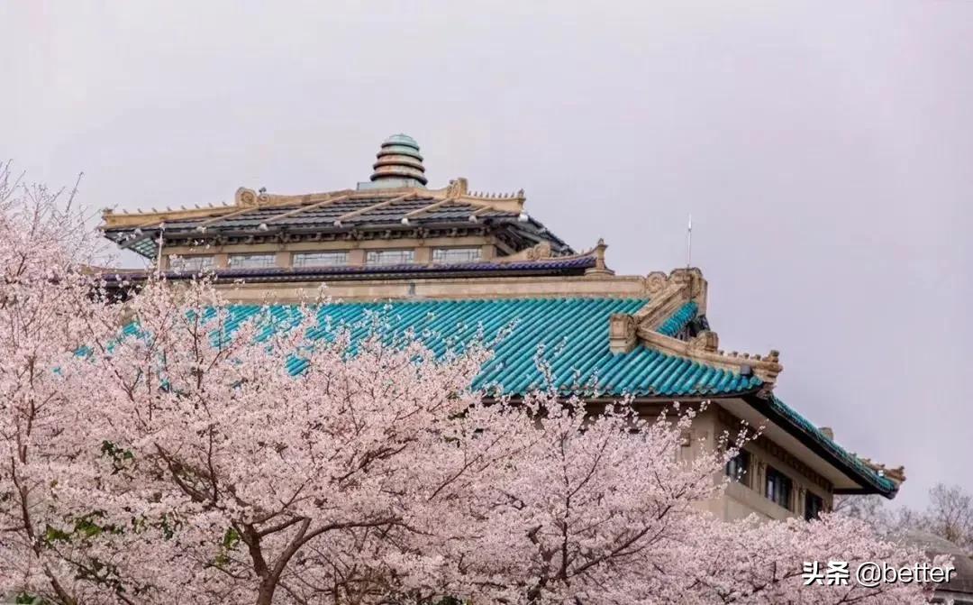 我在武汉，太太太太太南了