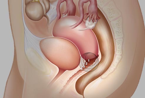 真实有效的内调美白,内调美白紧致