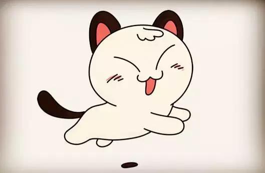 漂亮简单萌萌哒小猫咪绘画,萌萌哒猫咪简笔画