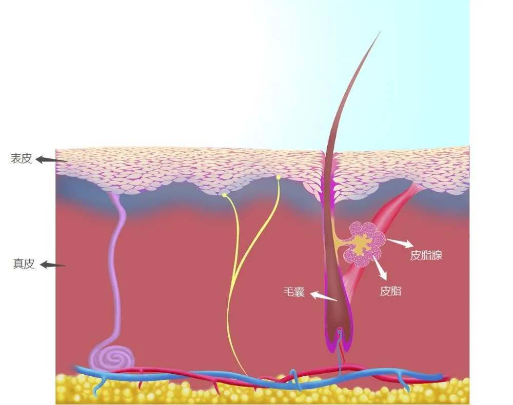 被营销号给骗了,别被营销号洗脑