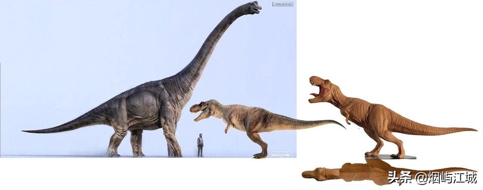 暴龙的形态,暴龙的不同形态