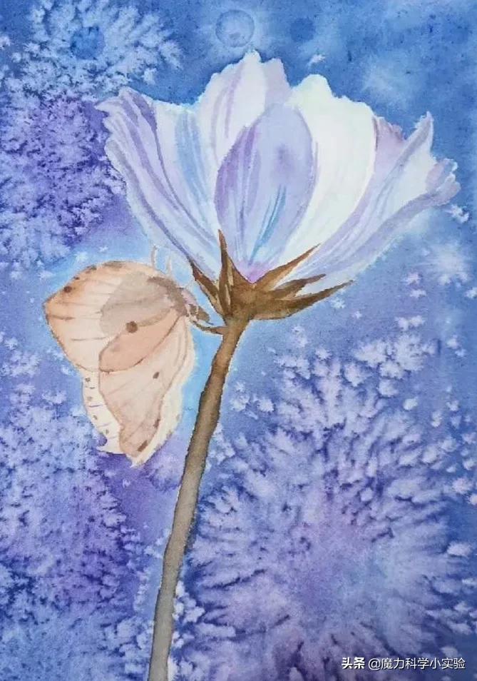 vlog我的日常从幼稚到成熟,vlog小时候的生活记忆