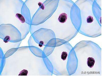 胎盘面膜作用,胎盘面膜的作用