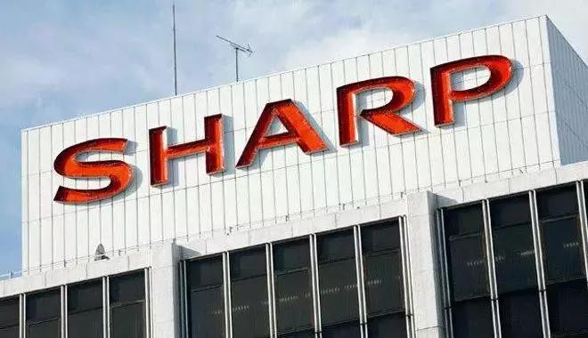 从捡垃圾到世界冠军完整,京东方发展史全过程