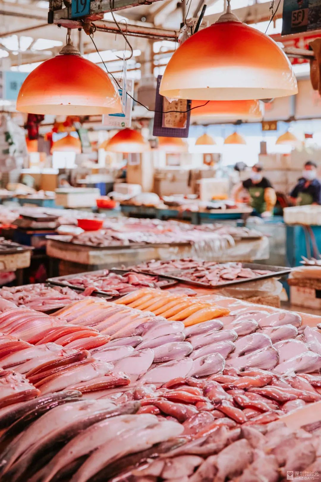 蛇口，一个住下来就不愿意再搬走的地方