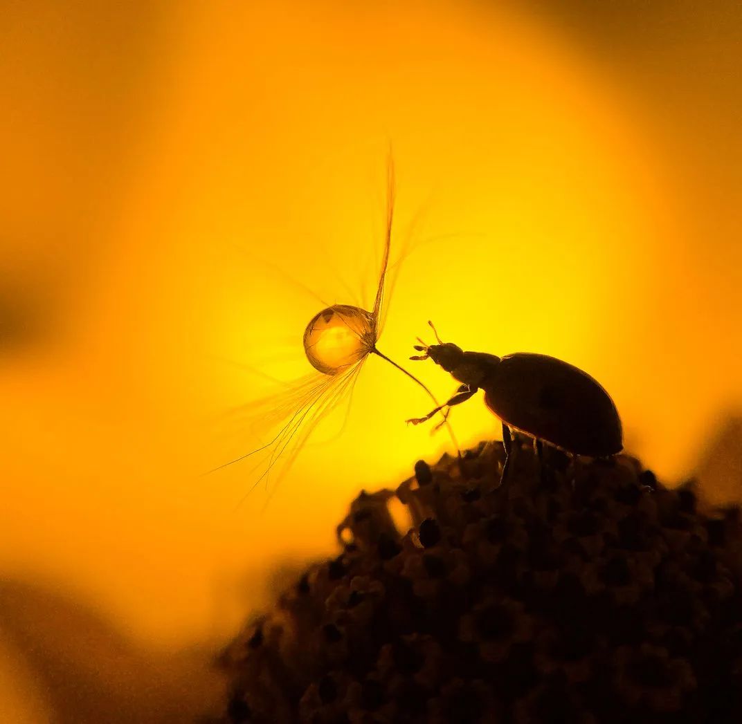 世界优秀获奖摄影作品,摄影大赛获奖作品欣赏