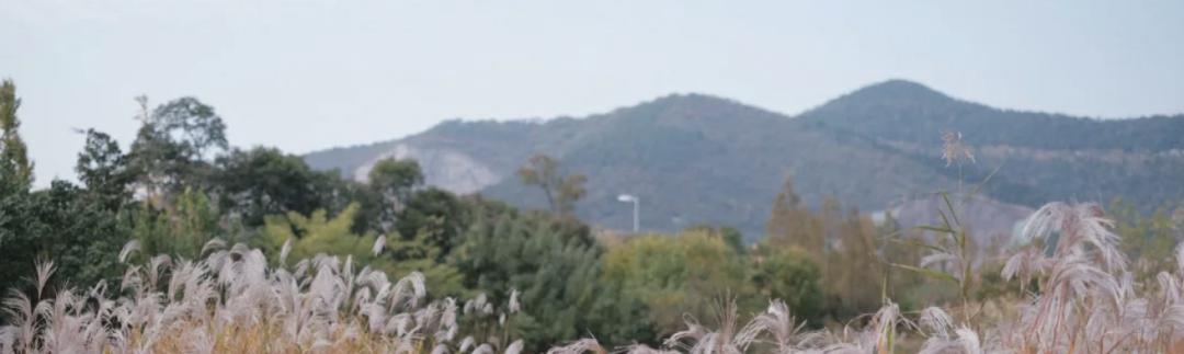 新潮流皮划艇,南京皮划艇上新玩法