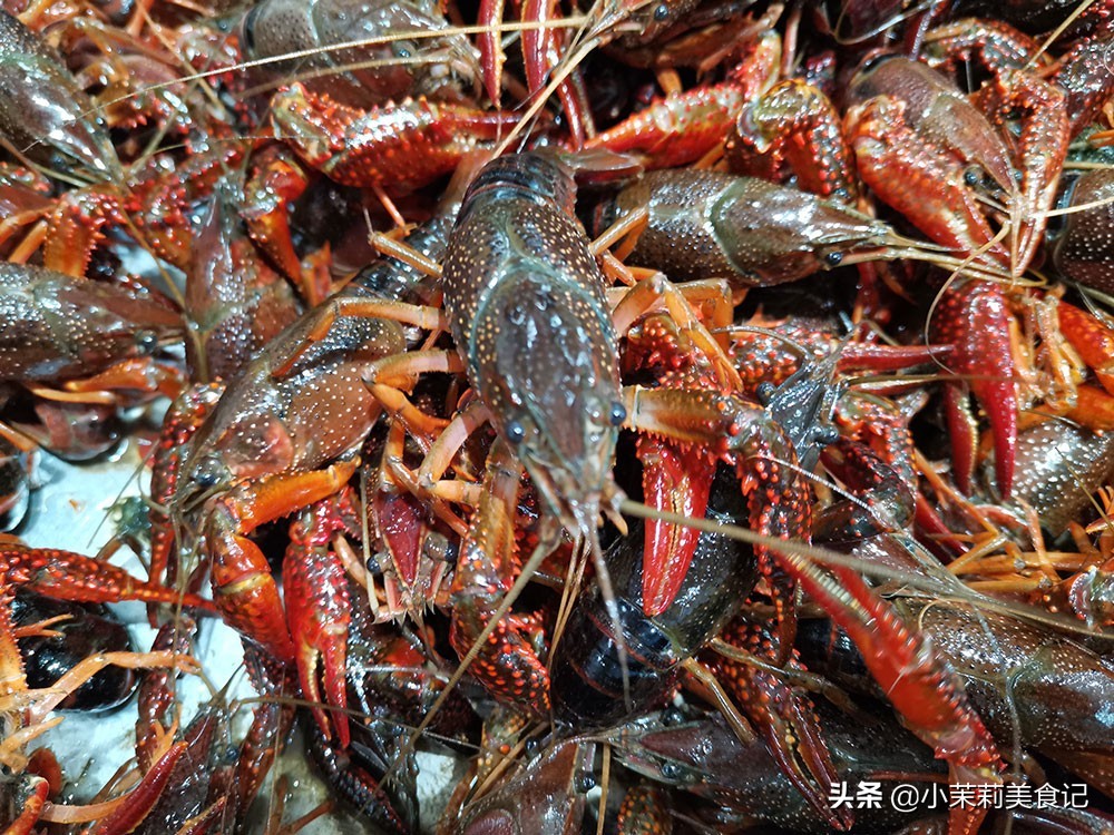 小龙虾怎么区别母虾和公虾,买小龙虾买公的好还是母的好