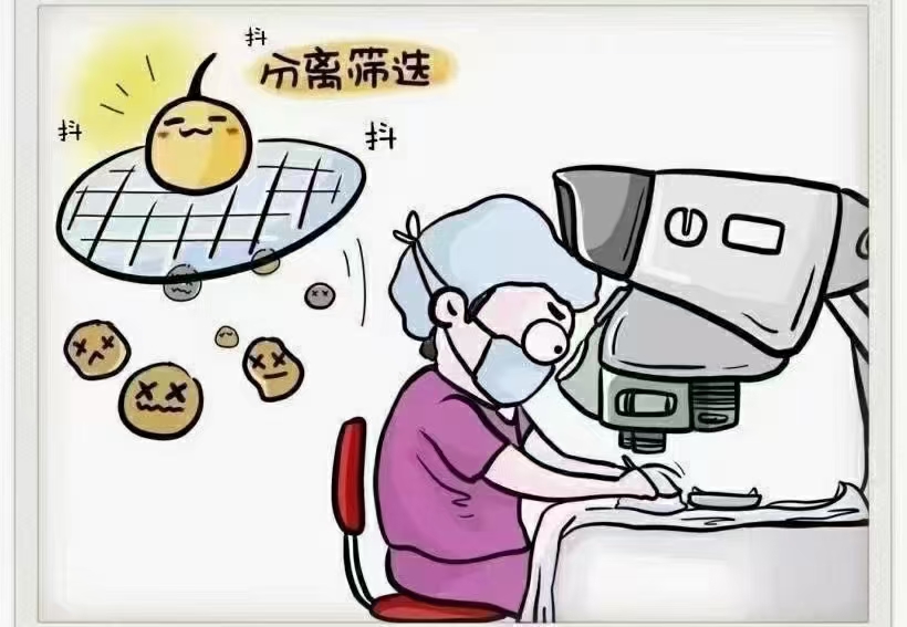 大家谈谈植发的经历,植发真的是一个漫长的过程