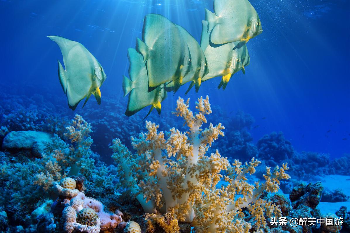 佛山海立方水族馆,探秘海洋公园