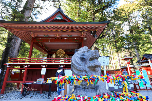 冬日乐趣排行,东京冬季旅游攻略一日游