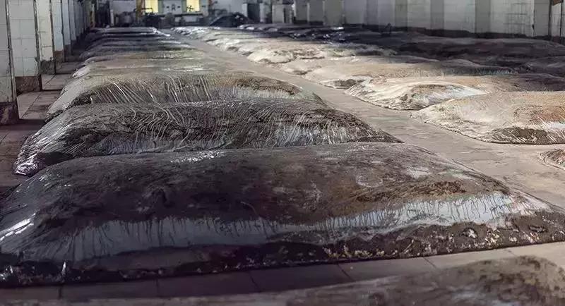 吃不起涪陵榨菜后续,吃不起榨菜完整版