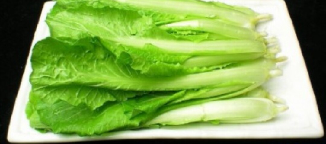 生活小技巧让你的生活变得更愉快,100个充满智慧的生活小技巧