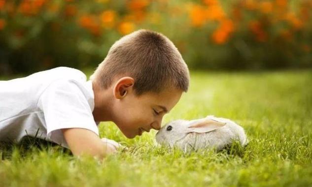 五岁孩子为什么喜欢捉弄人玩,五岁儿子搞恶作剧