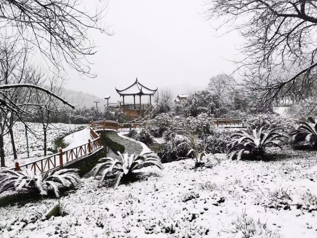遵义金鼎山雪景,雪景景区推荐遵义