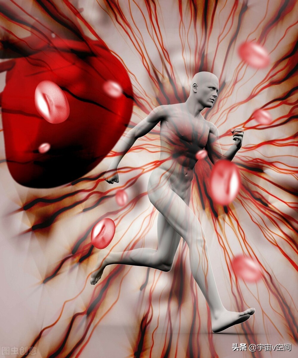 美国猪肾移植人体实验,美国科学家猪肾移植人体实验成功