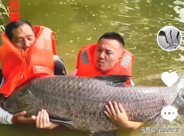 邓刚钓的大青为什么是红色的,邓刚钓大青江西挑战全国最美钓场