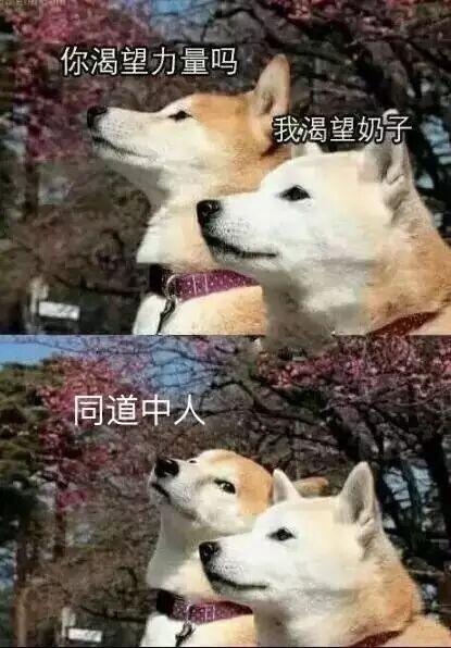 兽耳娘与怪兽娘,兽耳娘超进化